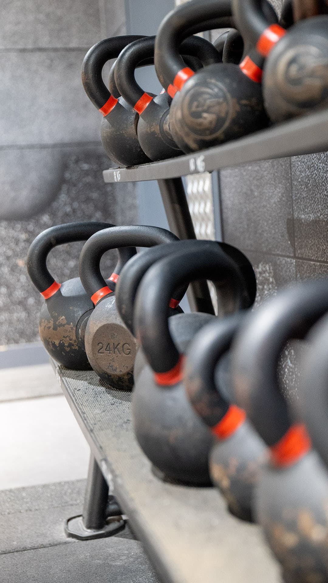 Début de l'entrainement à Fitness Park