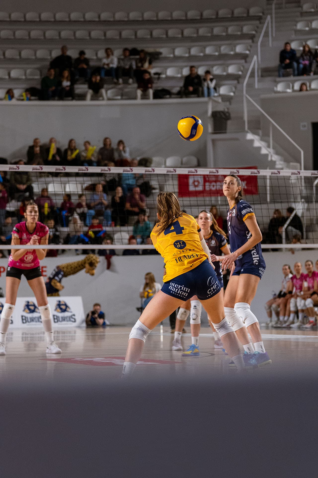 ixèeme match à domicile des Burdis contre Nancy - photo 10